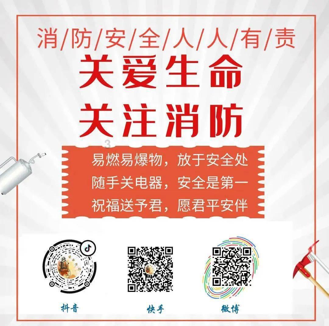 芭比的电影灵感